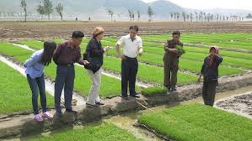 AFSC_and_rice_field_inspection_1024x575